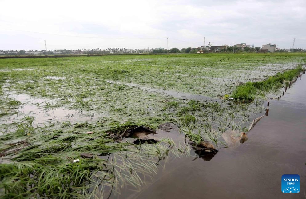 ????? ???? ????? 21 ????? ?229 ????? ?? ???? ??????