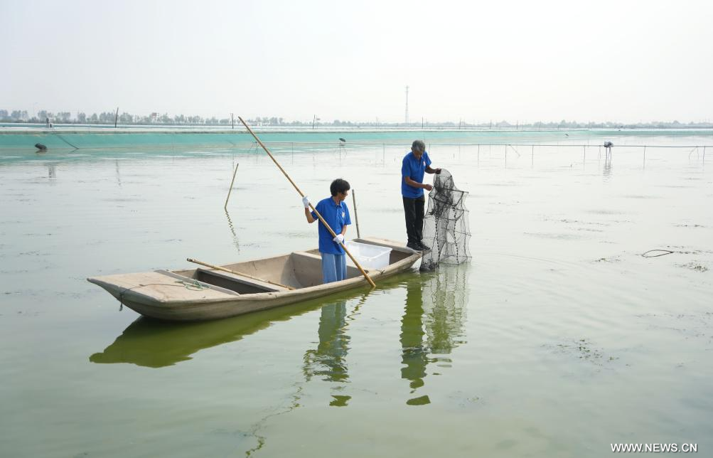 ???? ?????? ???? ??????? ??????? ?? ???? ?????