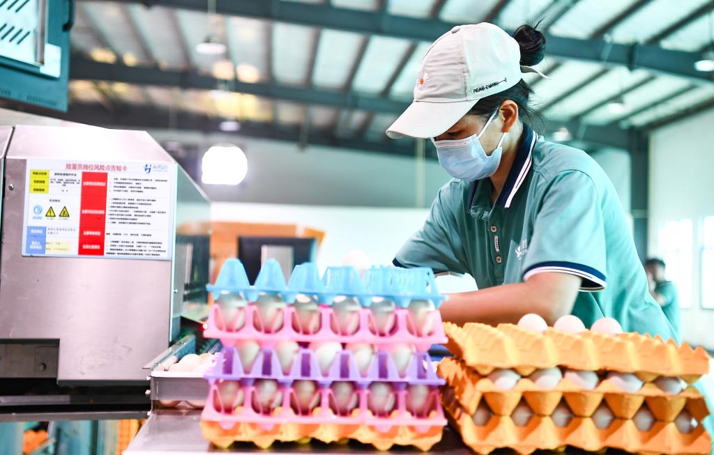 ??????? ??????? ?? ?????? ?????? ????? ??? ???????