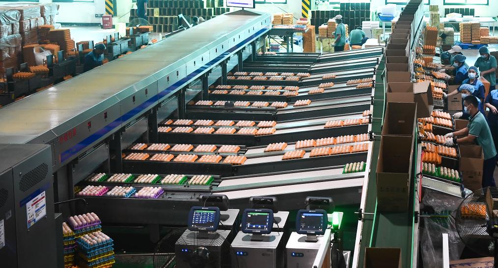 ??????? ??????? ?? ?????? ?????? ????? ??? ???????