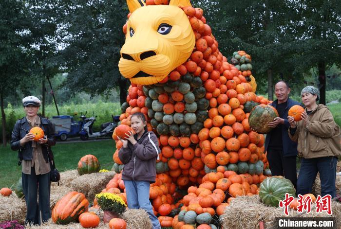 ???????? ???????: 36 ?????? ?? ??????? ?????? ???????? ???? ?????? ??????