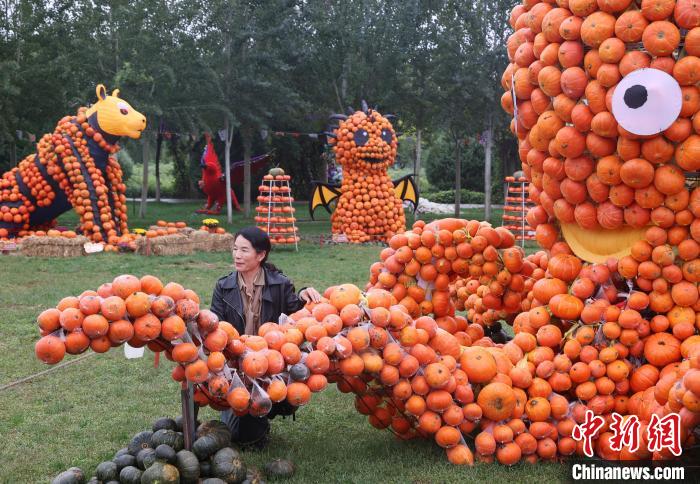 ???????? ???????: 36 ?????? ?? ??????? ?????? ???????? ???? ?????? ??????