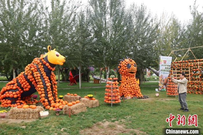 ???????? ???????: 36 ?????? ?? ??????? ?????? ???????? ???? ?????? ??????