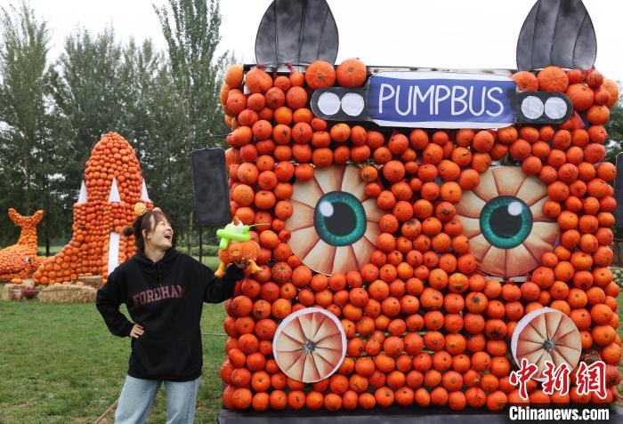 ???????? ???????: 36 ?????? ?? ??????? ?????? ???????? ???? ?????? ??????