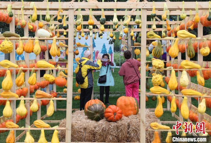 ???????? ???????: 36 ?????? ?? ??????? ?????? ???????? ???? ?????? ??????