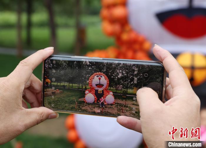 ???????? ???????: 36 ?????? ?? ??????? ?????? ???????? ???? ?????? ??????