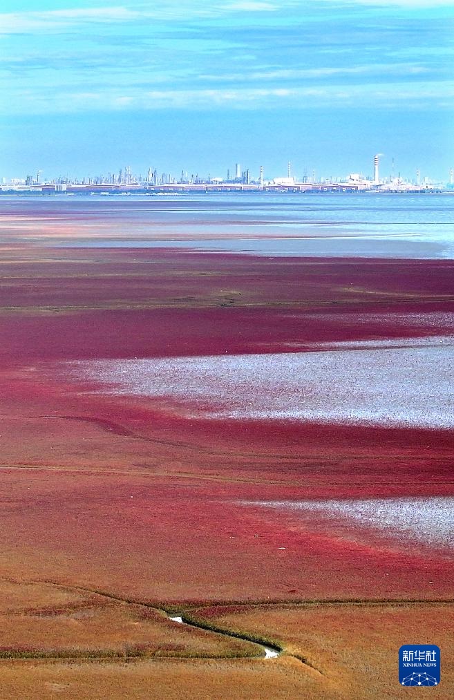 ?????? ?????? ????????? .. ?????? ?????? ???????