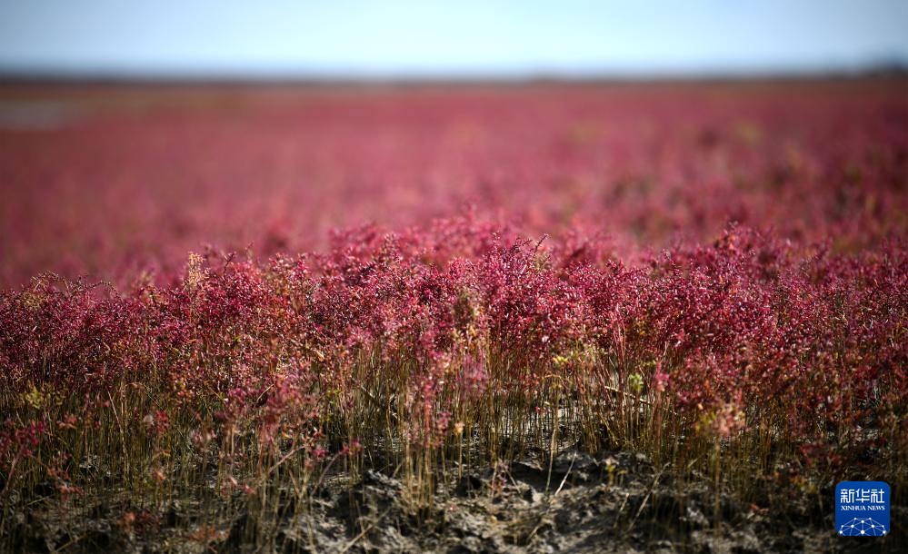 ?????? ?????? ????????? .. ?????? ?????? ???????