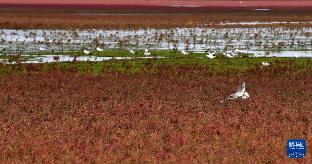 ?????? ?????? ????????? .. ?????? ?????? ???????