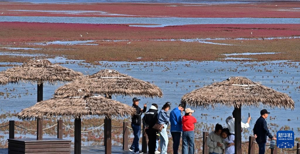 ?????? ?????? ????????? .. ?????? ?????? ???????