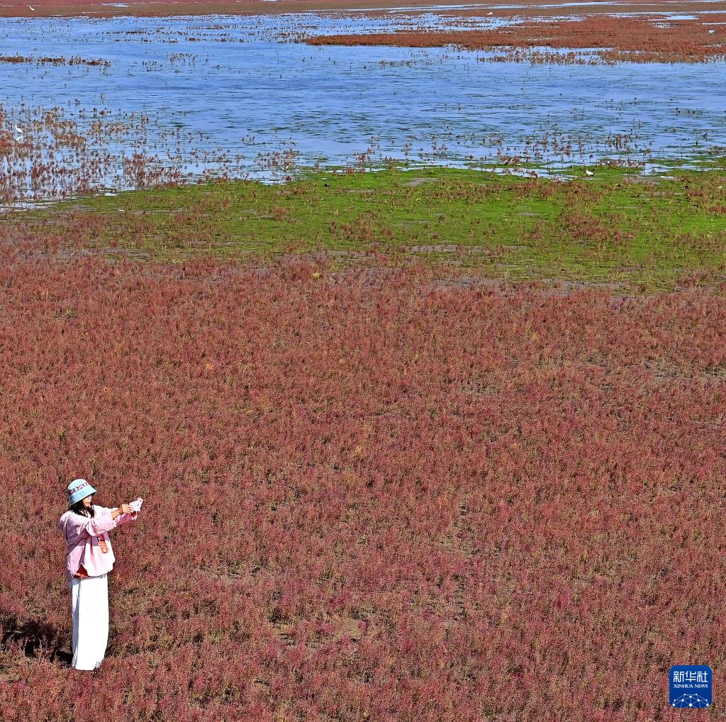 ?????? ?????? ????????? .. ?????? ?????? ???????