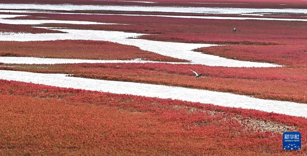 ?????? ?????? ????????? .. ?????? ?????? ???????