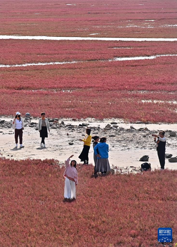 ?????? ?????? ????????? .. ?????? ?????? ???????