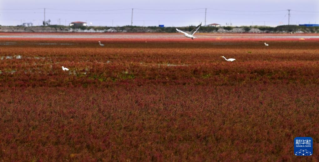 ?????? ?????? ????????? .. ?????? ?????? ???????