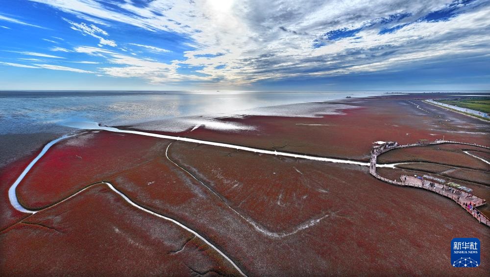 ?????? ?????? ????????? .. ?????? ?????? ???????