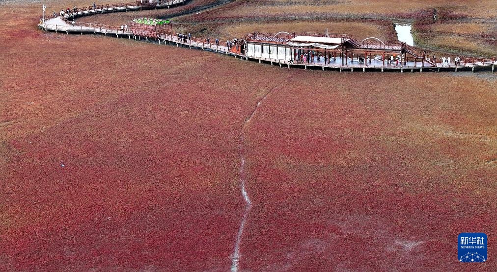 ?????? ?????? ????????? .. ?????? ?????? ???????