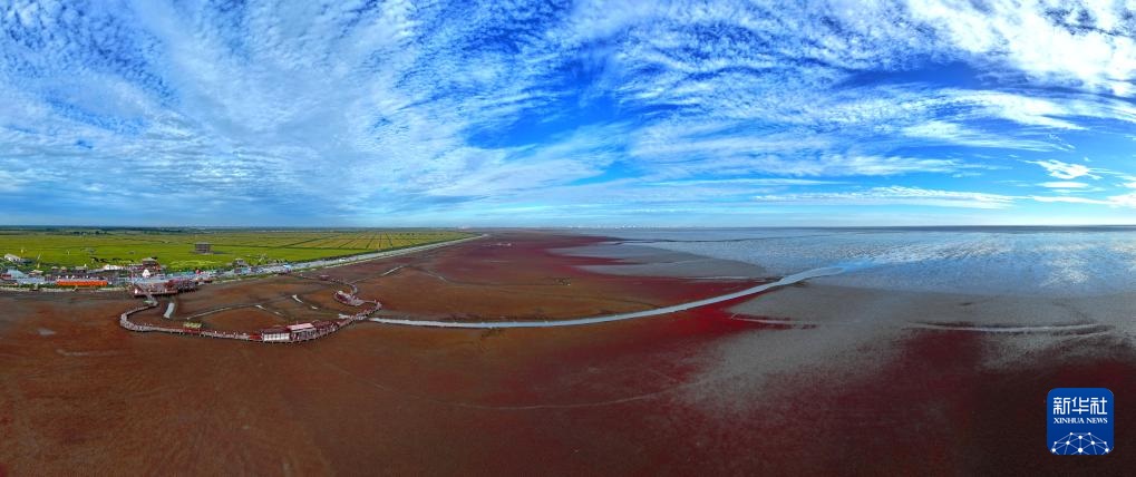 ?????? ?????? ????????? .. ?????? ?????? ???????