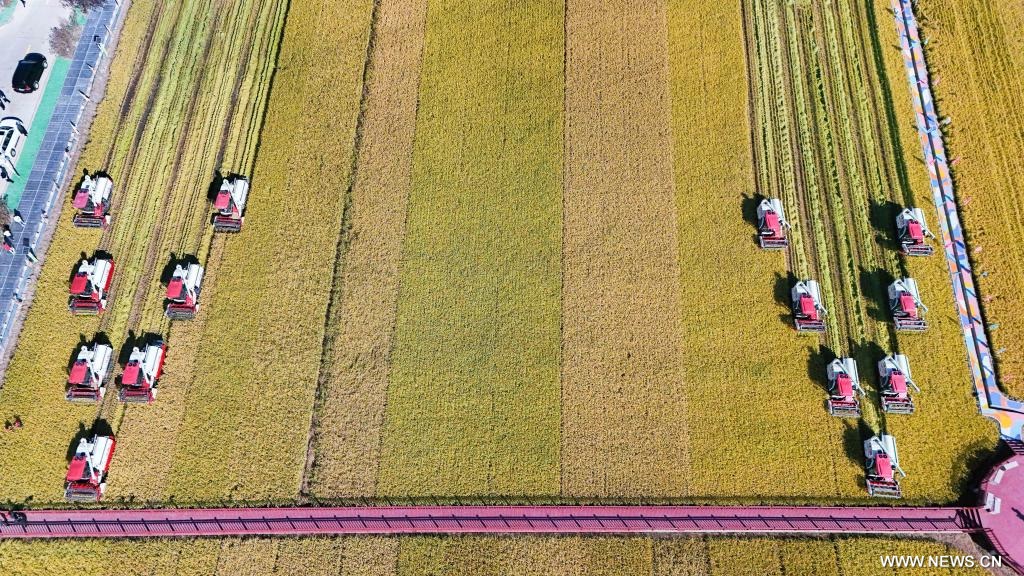 ?????? ???? ????????? ???????? ??????