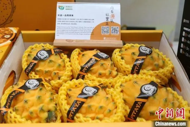 ?????? ????? ??????? ???? ??????? ??????????