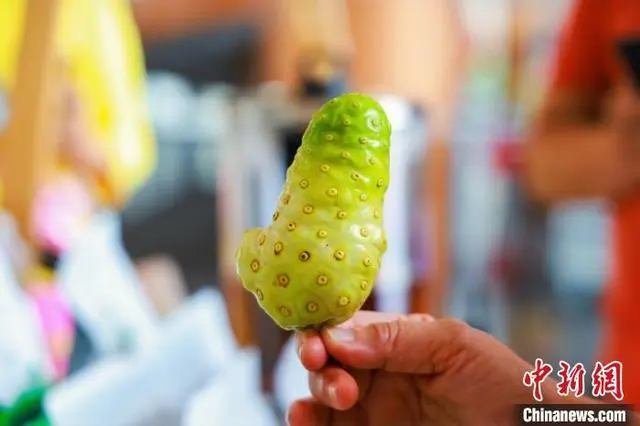 ?????? ????? ??????? ???? ??????? ??????????