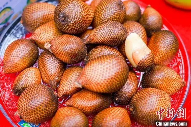 ?????? ????? ??????? ???? ??????? ??????????