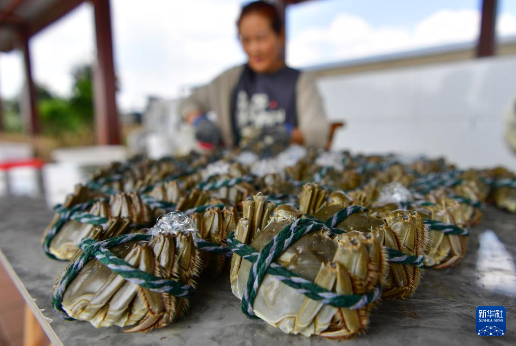 ?????? ???? ?????? ???? ???? ??? ?????? ???????