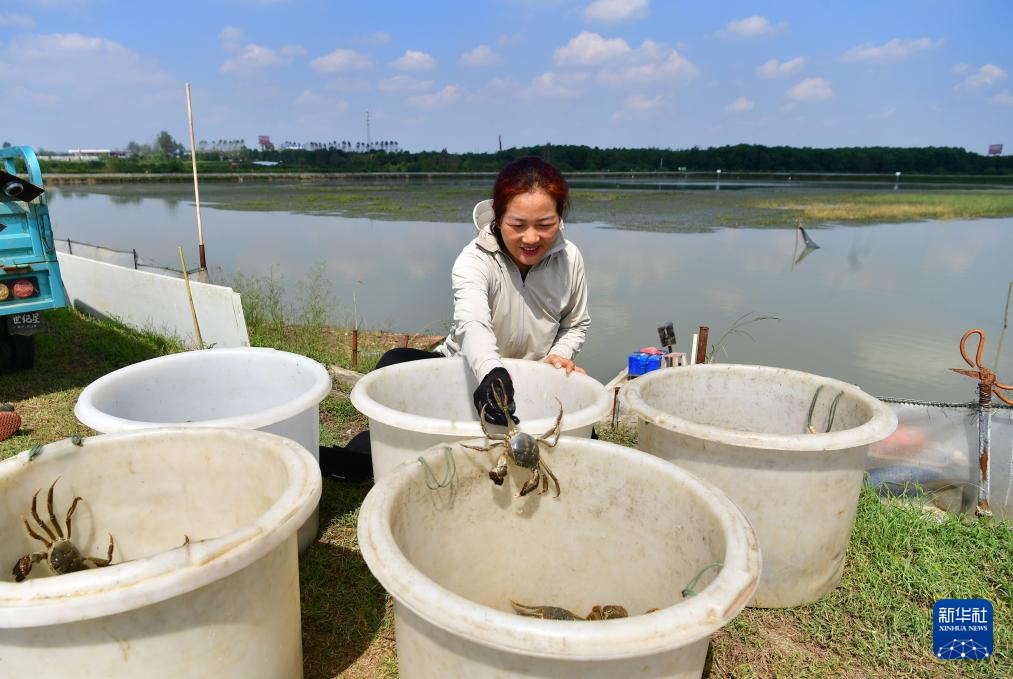 ?????? ???? ?????? ???? ???? ??? ?????? ???????