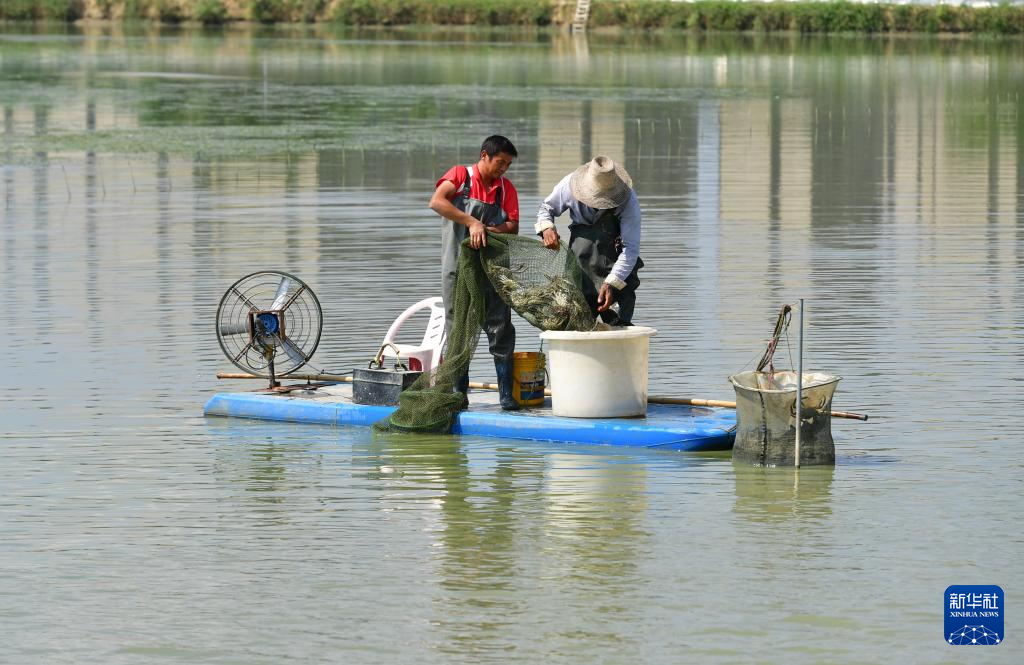 ?????? ???? ?????? ???? ???? ??? ?????? ???????