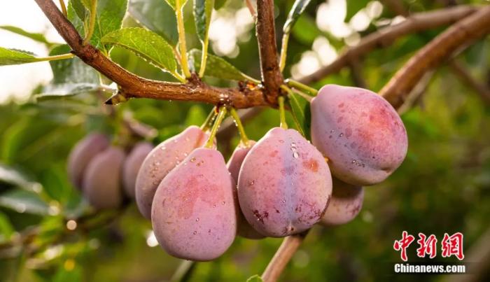 ????? ????? ???? ????? ?? ??????? ??????? ????????