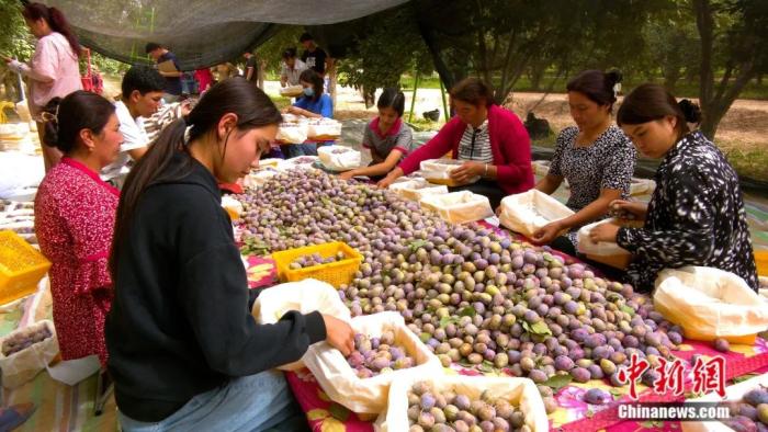 ????? ????? ???? ????? ?? ??????? ??????? ????????