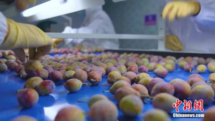 ????? ????? ???? ????? ?? ??????? ??????? ????????