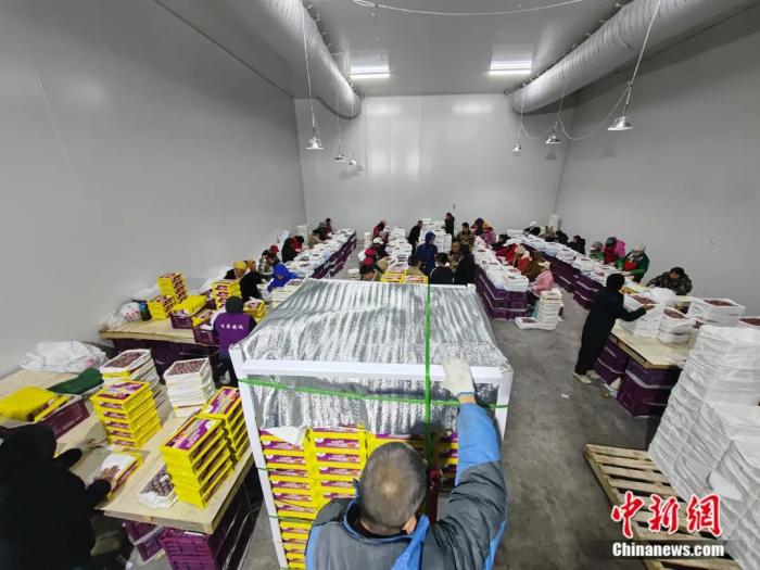 ????? ????? ???? ????? ?? ??????? ??????? ????????