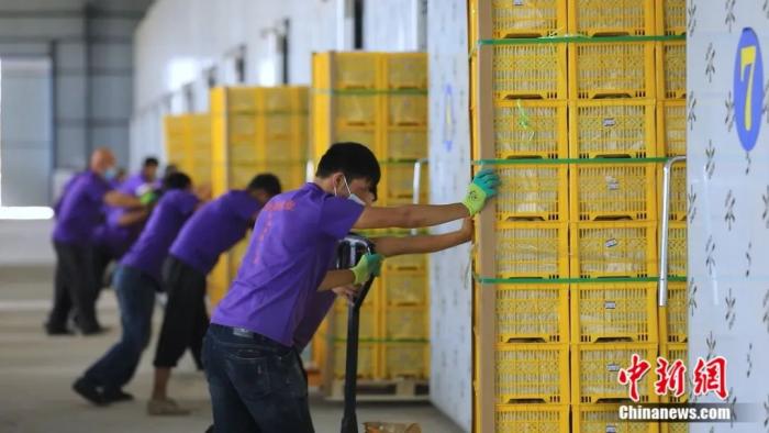 ????? ????? ???? ????? ?? ??????? ??????? ????????