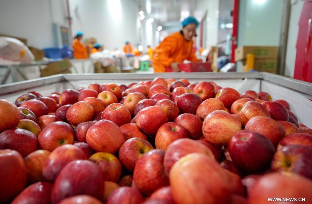 ???? ???? ????? ?????? ?? ???? ???? ?????