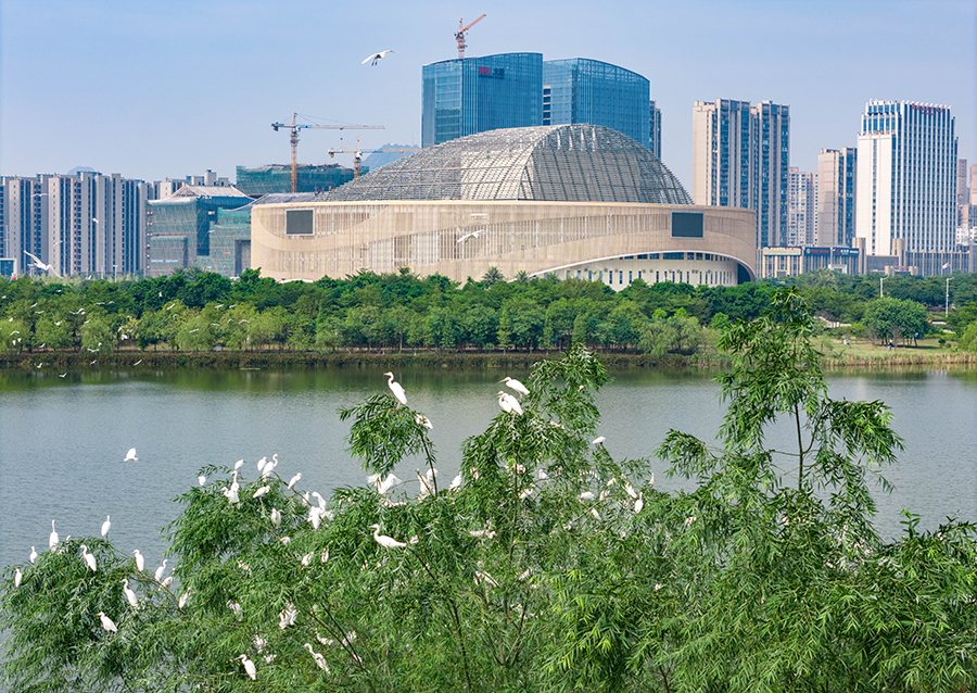 ?????? ???????: ???? ????? ???? ???? ????? ??????