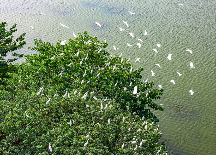 ?????? ???????: ???? ????? ???? ???? ????? ??????