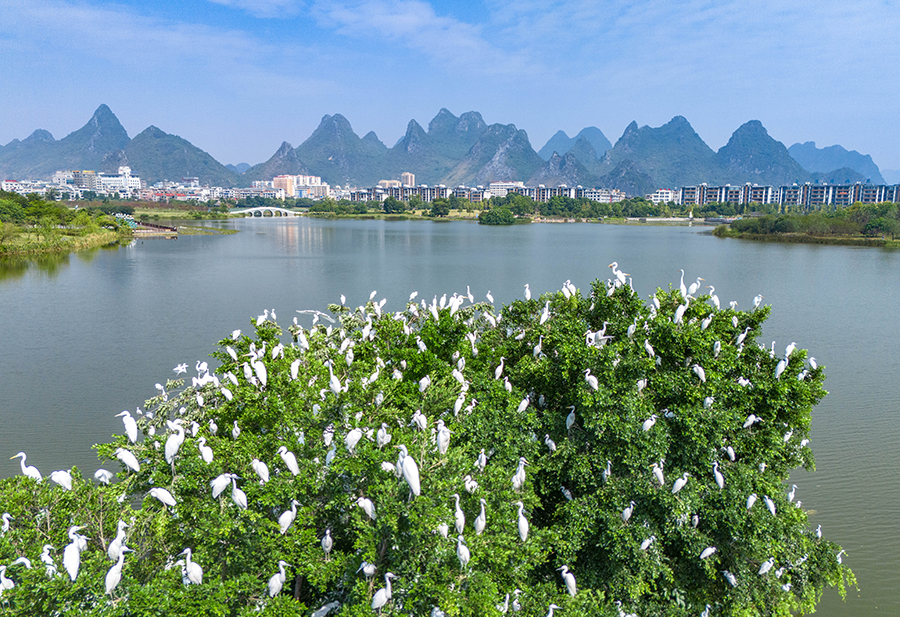 ?????? ???????: ???? ????? ???? ???? ????? ??????