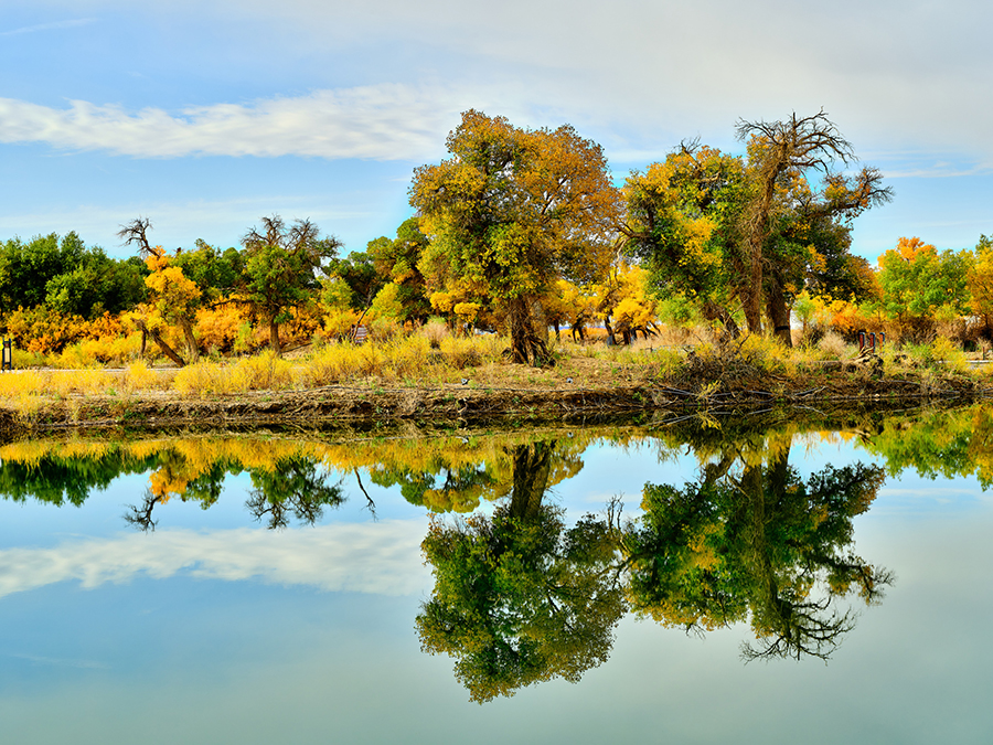 ?????? ???????? ????????: ???? ??? ????? ????? ?????? ??????