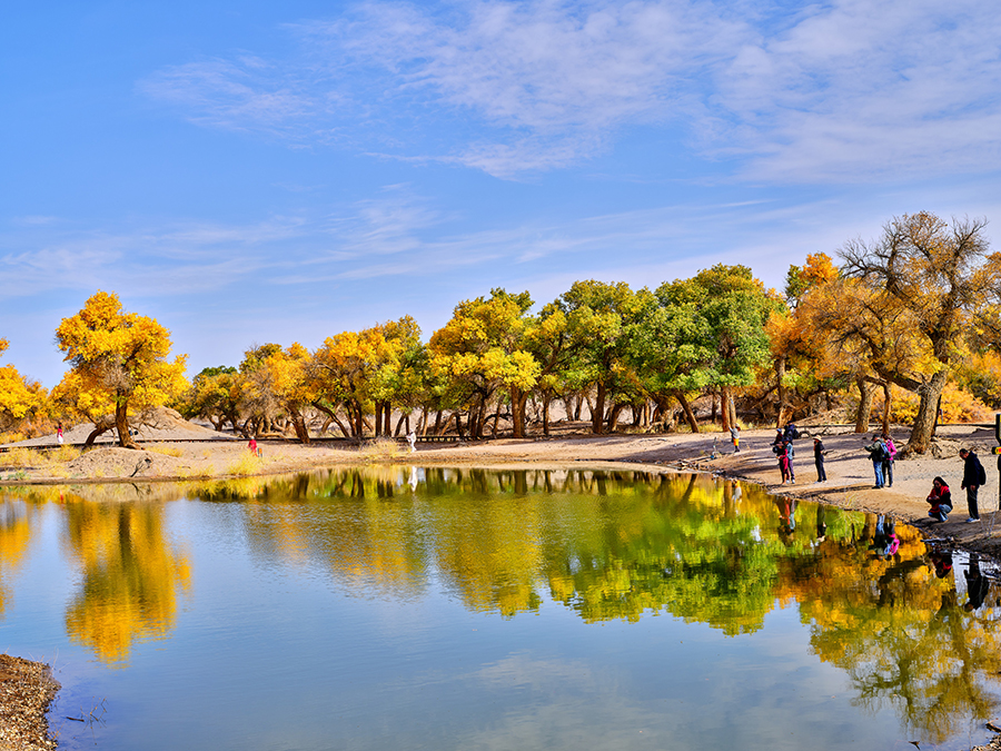 ?????? ???????? ????????: ???? ??? ????? ????? ?????? ??????