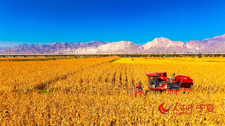 ???? ?????? ??? ??????? ?? ???? ????? ??????