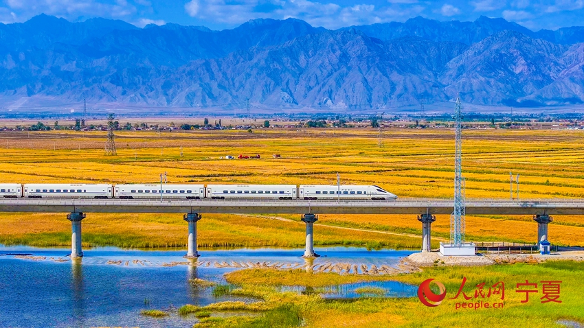 ???? ?????? ??? ??????? ?? ???? ????? ??????