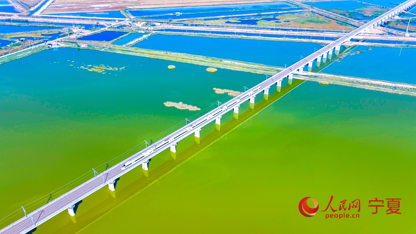 ???? ?????? ??? ??????? ?? ???? ????? ??????