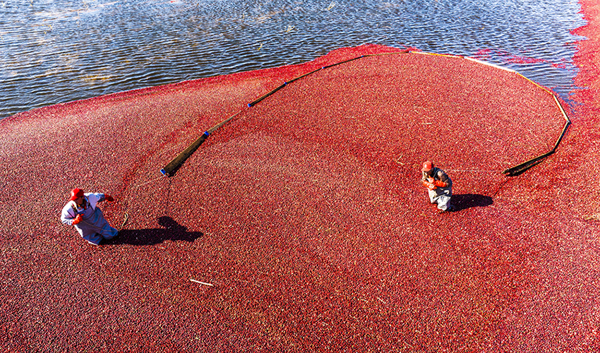 ????? ????? ????? ?? ?????? ????