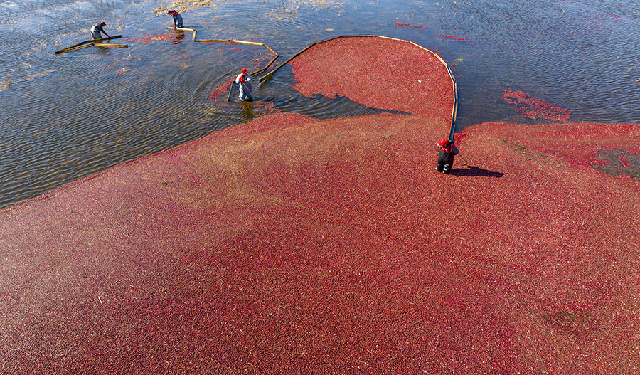 ????? ????? ????? ?? ?????? ????