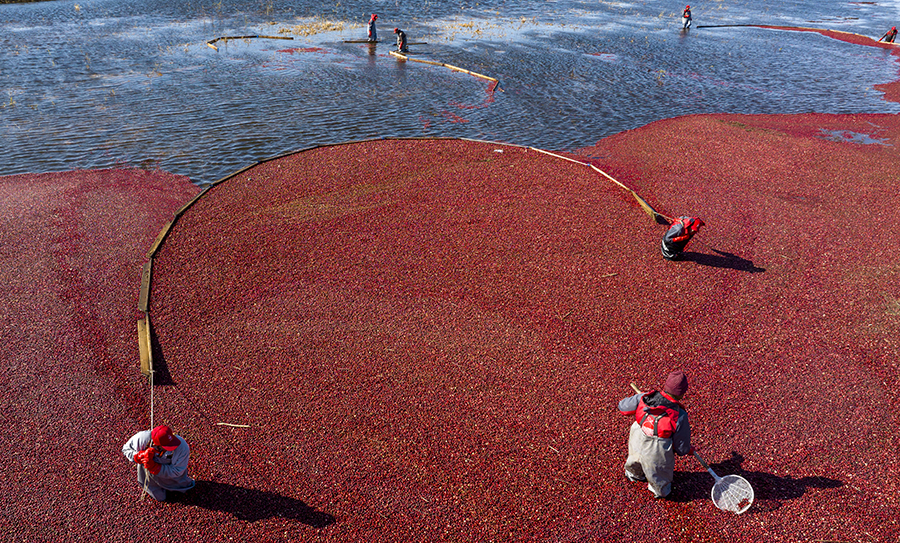 ????? ????? ????? ?? ?????? ????