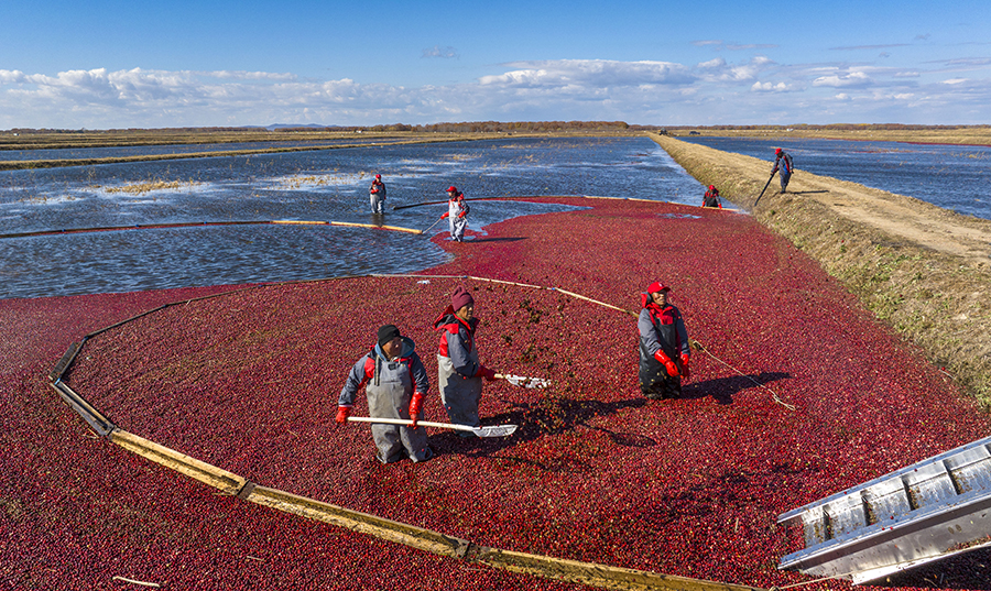 ????? ????? ????? ?? ?????? ????