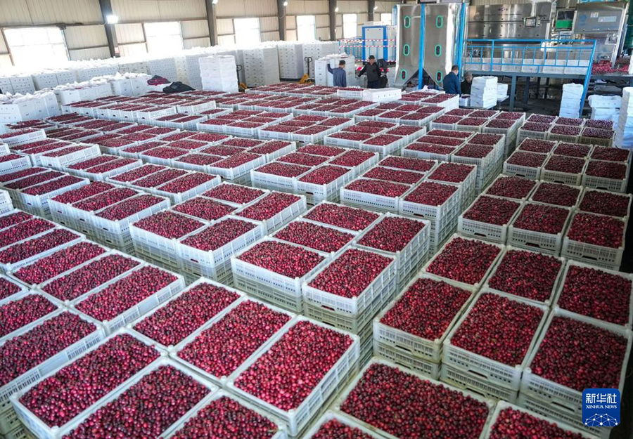 ????? ????? ????? ?? ?????? ????