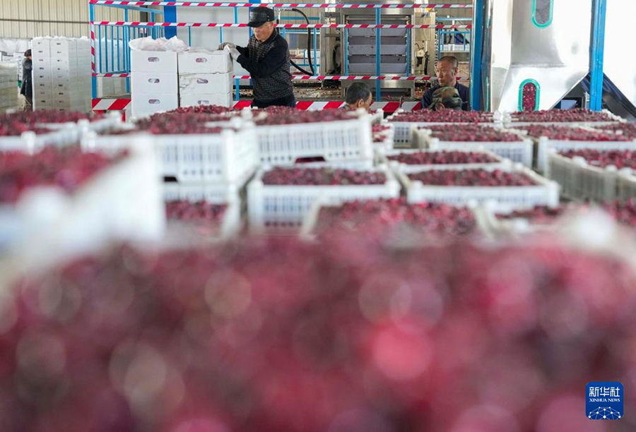 ????? ????? ????? ?? ?????? ????