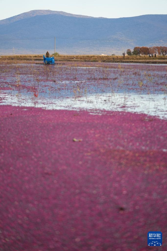 ????? ????? ????? ?? ?????? ????