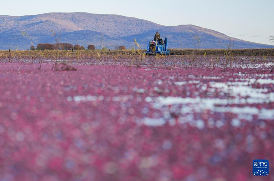 ????? ????? ????? ?? ?????? ????